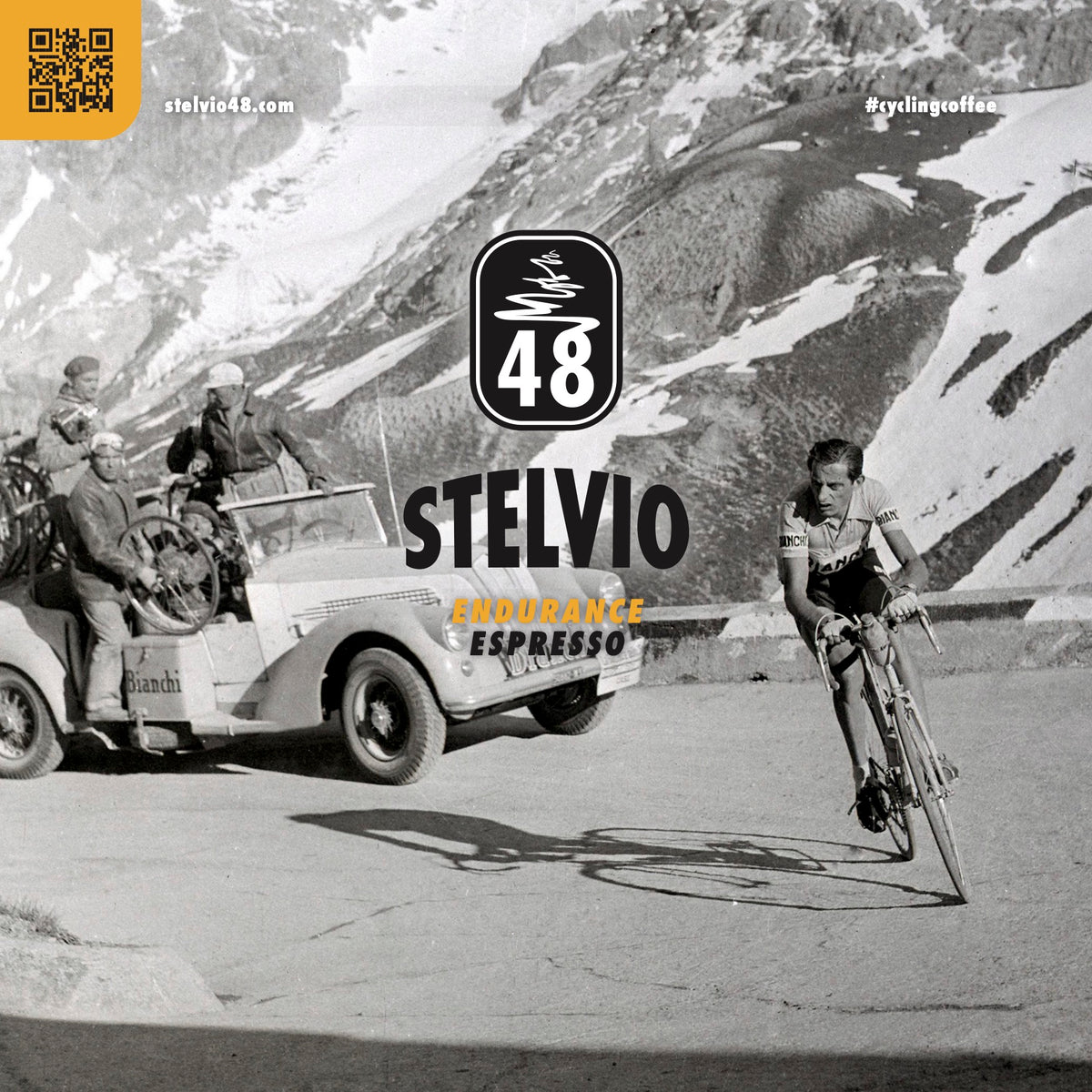 STELVIO | Endurance  Espresso | Bohnen 250g