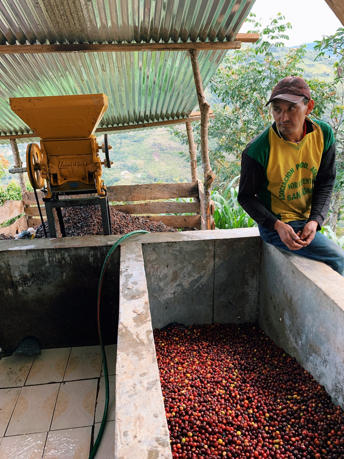 PERU | Espresso | BIO | Café del Futuro | Bohnen | 250g